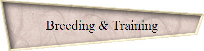 Breeding & Training