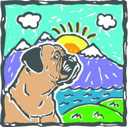 cbf logo color notype